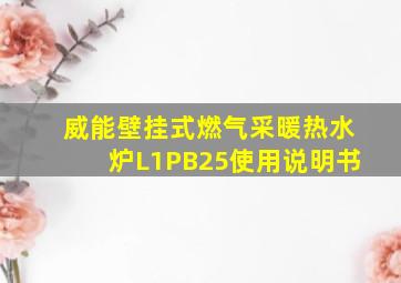 威能壁挂式燃气采暖热水炉L1PB25使用说明书