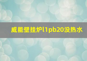 威能壁挂炉l1pb20没热水