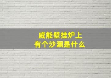 威能壁挂炉上有个沙漏是什么