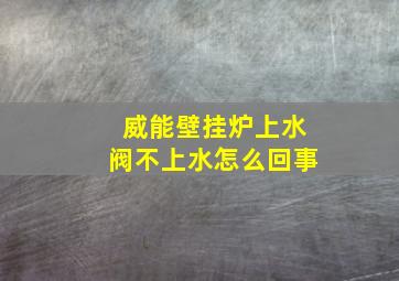 威能壁挂炉上水阀不上水怎么回事