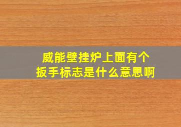 威能壁挂炉上面有个扳手标志是什么意思啊