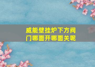 威能壁挂炉下方阀门哪面开哪面关呢