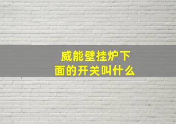 威能壁挂炉下面的开关叫什么