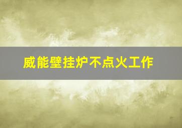 威能壁挂炉不点火工作