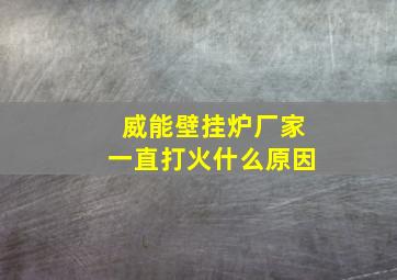 威能壁挂炉厂家一直打火什么原因