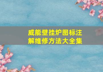 威能壁挂炉图标注解维修方法大全集