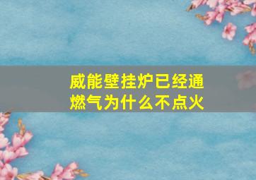 威能壁挂炉已经通燃气为什么不点火