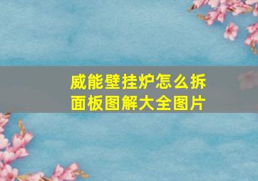 威能壁挂炉怎么拆面板图解大全图片