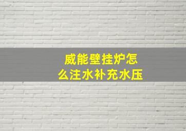 威能壁挂炉怎么注水补充水压