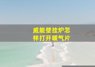 威能壁挂炉怎样打开暖气片