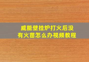 威能壁挂炉打火后没有火苗怎么办视频教程