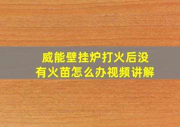 威能壁挂炉打火后没有火苗怎么办视频讲解