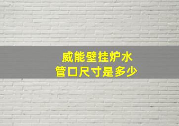 威能壁挂炉水管口尺寸是多少