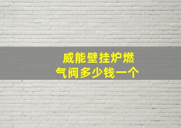 威能壁挂炉燃气阀多少钱一个