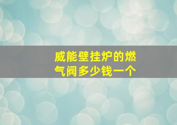 威能壁挂炉的燃气阀多少钱一个