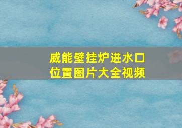 威能壁挂炉进水口位置图片大全视频