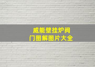 威能壁挂炉阀门图解图片大全