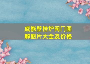 威能壁挂炉阀门图解图片大全及价格