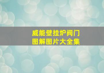 威能壁挂炉阀门图解图片大全集