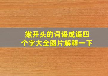 嫩开头的词语成语四个字大全图片解释一下