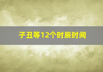 子丑等12个时辰时间