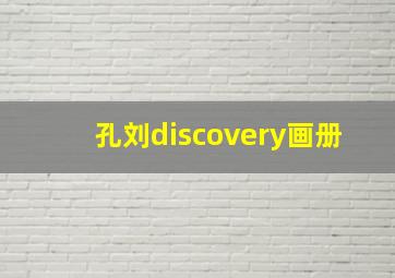 孔刘discovery画册