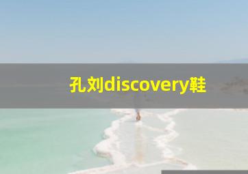 孔刘discovery鞋