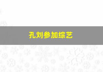 孔刘参加综艺