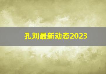 孔刘最新动态2023