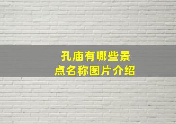 孔庙有哪些景点名称图片介绍