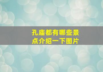 孔庙都有哪些景点介绍一下图片