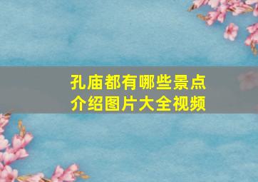 孔庙都有哪些景点介绍图片大全视频