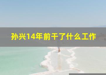 孙兴14年前干了什么工作