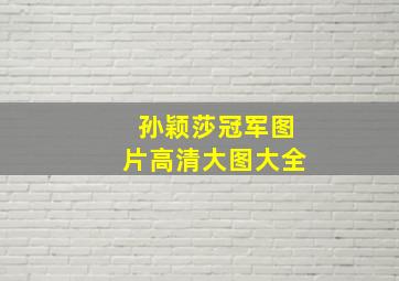 孙颖莎冠军图片高清大图大全