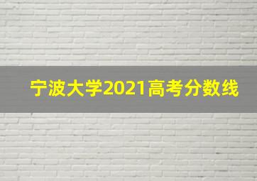 宁波大学2021高考分数线