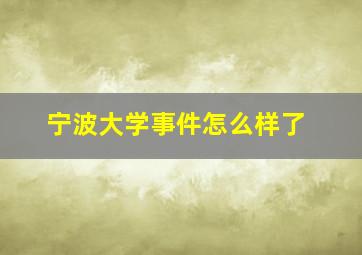 宁波大学事件怎么样了