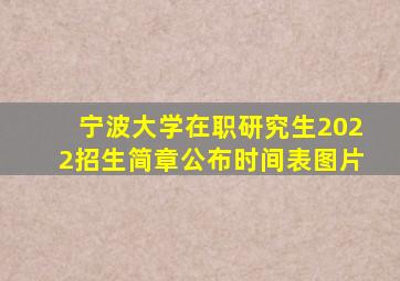 宁波大学在职研究生2022招生简章公布时间表图片