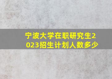 宁波大学在职研究生2023招生计划人数多少