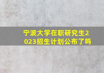 宁波大学在职研究生2023招生计划公布了吗