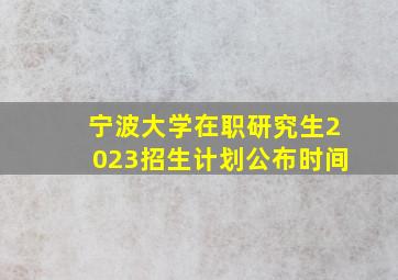 宁波大学在职研究生2023招生计划公布时间