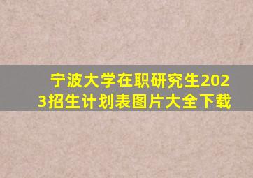 宁波大学在职研究生2023招生计划表图片大全下载