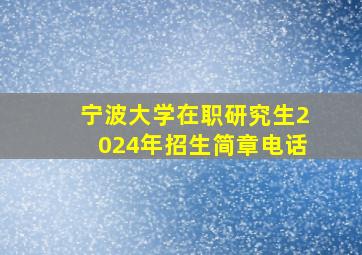 宁波大学在职研究生2024年招生简章电话