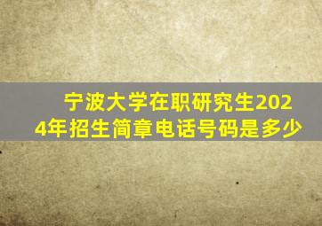 宁波大学在职研究生2024年招生简章电话号码是多少