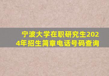 宁波大学在职研究生2024年招生简章电话号码查询