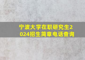 宁波大学在职研究生2024招生简章电话查询