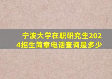 宁波大学在职研究生2024招生简章电话查询是多少