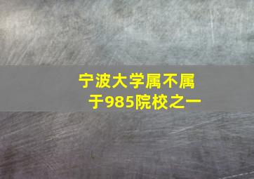 宁波大学属不属于985院校之一