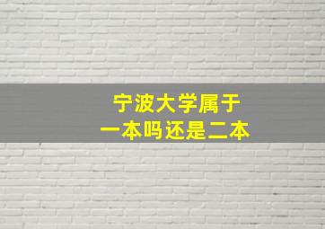 宁波大学属于一本吗还是二本