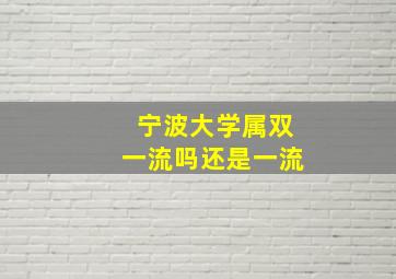 宁波大学属双一流吗还是一流