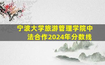 宁波大学旅游管理学院中法合作2024年分数线